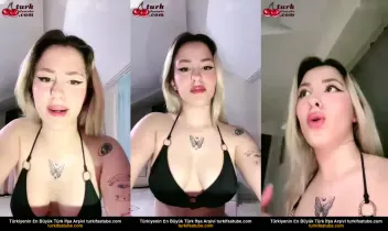 93306648
