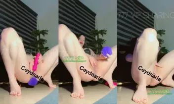 93705055